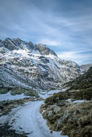 Die Landschaft um den Kartellsee
