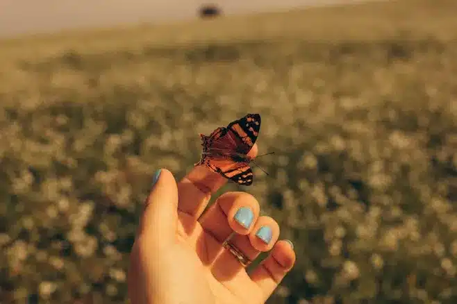 Flora und Fauna im Umfeld